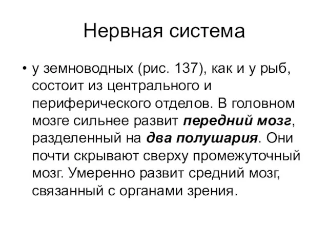 Нервная система у земноводных (рис. 137), как и у рыб, состоит из