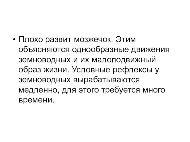 Плохо развит мозжечок. Этим объясняются однообразные движения земноводных и их малоподвижный образ