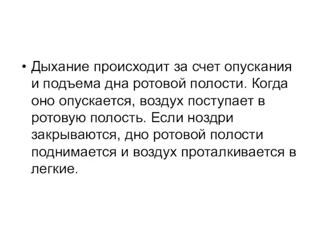 Дыхание происходит за счет опускания и подъема дна ротовой полости. Когда оно