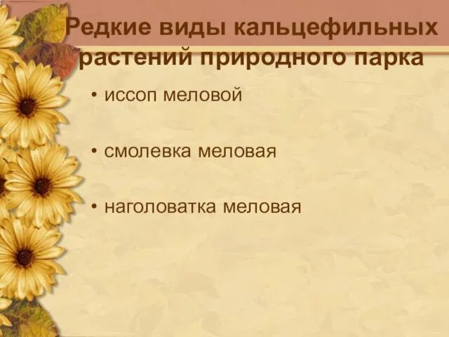 Редкие виды кальцефильных растений природного парка иссоп меловой смолевка меловая наголоватка меловая