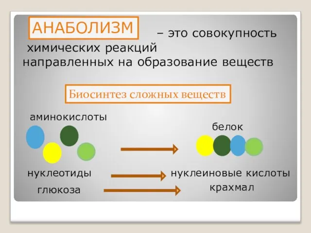 – это совокупность химических реакций направленных на образование веществ Биосинтез сложных веществ