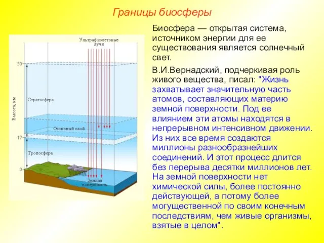 Границы биосферы Биосфера — открытая система, источником энергии для ее существования является