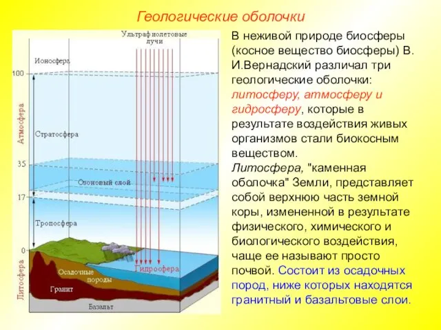 Геологические оболочки В неживой природе биосферы (косное вещество биосферы) В.И.Вернадский различал три