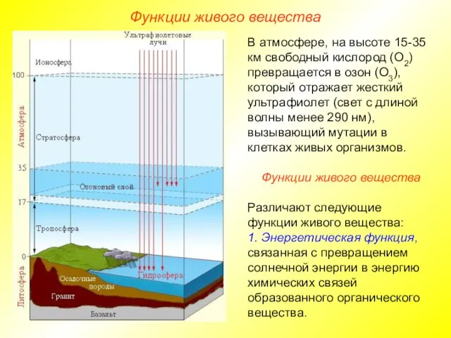 В атмосфере, на высоте 15-35 км свободный кислород (О2) превращается в озон