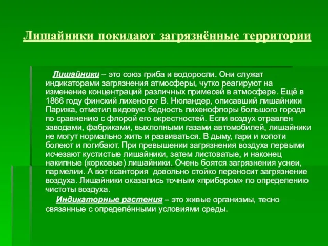 Лишайники покидают загрязнённые территории Лишайники – это союз гриба и водоросли. Они