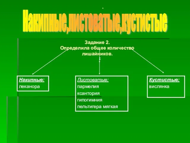 Накипные,листоватые,кустистые . Задание 2. Определила общее количество лишайников.