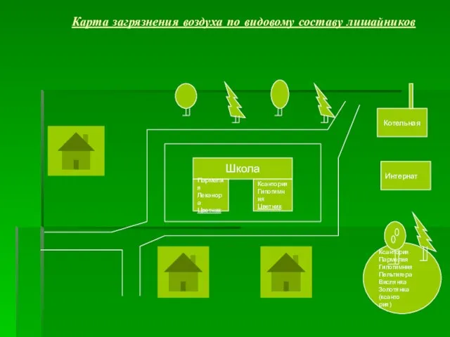 Карта загрязнения воздуха по видовому составу лишайников Школа Пармелия Леканора Цветник Котельная