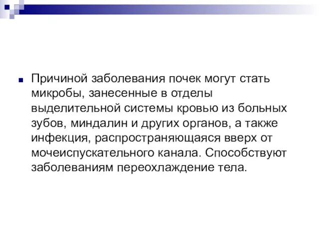 Причиной заболевания почек могут стать микробы, занесенные в отделы выделительной системы кровью