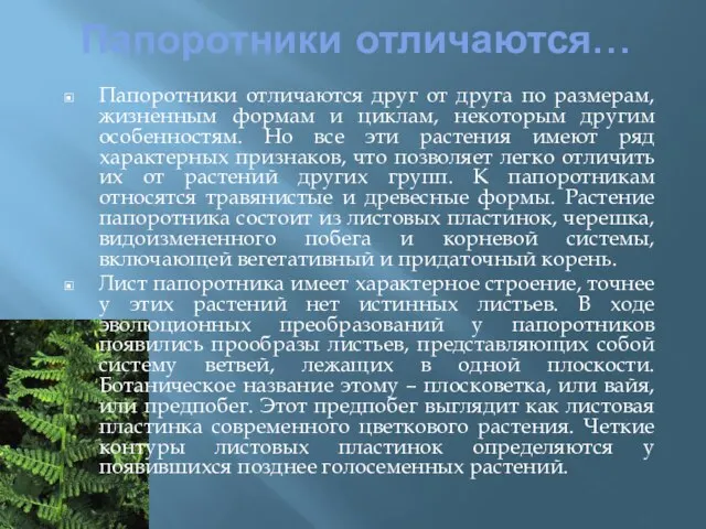 Папоротники отличаются… Папоротники отличаются друг от друга по размерам, жизненным формам и