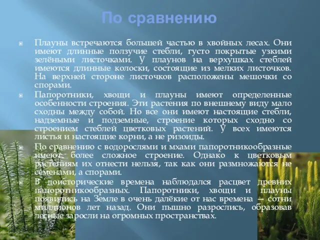 По сравнению Плауны встречаются большей частью в хвойных лесах. Они имеют длинные