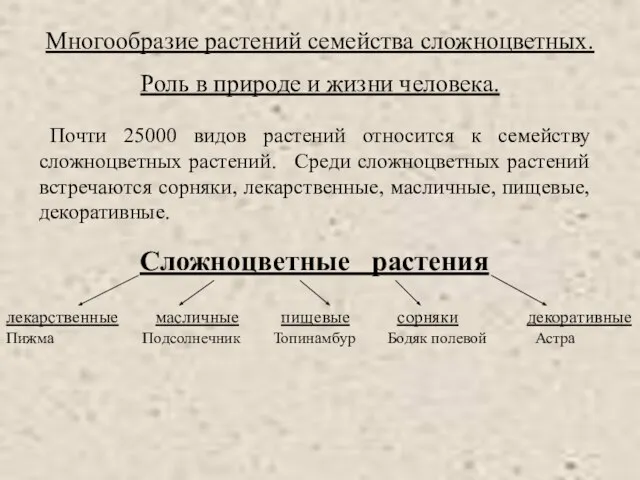 Многообразие растений семейства сложноцветных. Роль в природе и жизни человека. Почти 25000