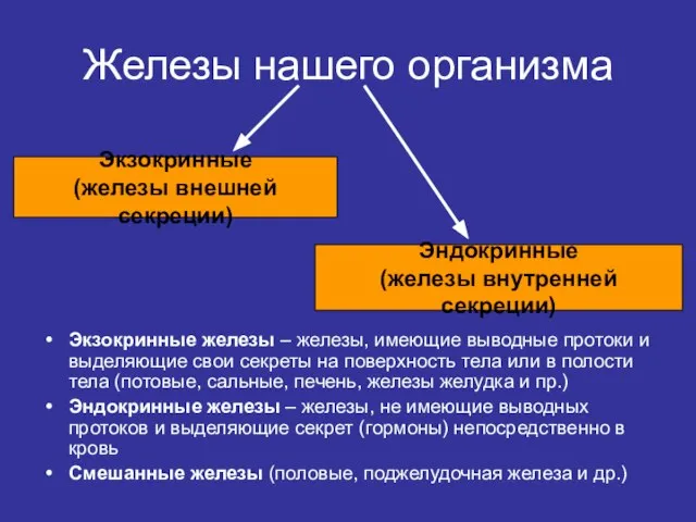 Железы нашего организма Экзокринные железы – железы, имеющие выводные протоки и выделяющие