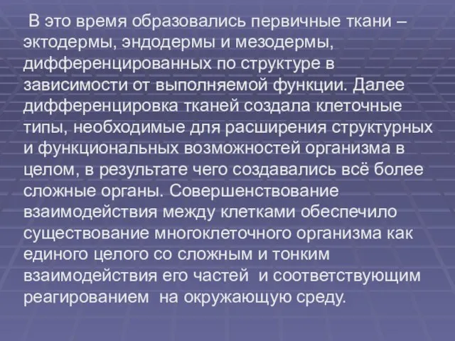 В это время образовались первичные ткани – эктодермы, эндодермы и мезодермы, дифференцированных