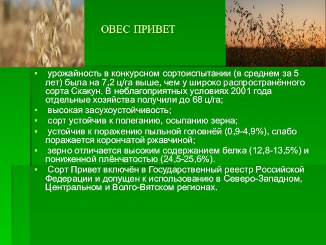 ОВЕС ПРИВЕТ урожайность в конкурсном сортоиспытании (в среднем за 5 лет) была