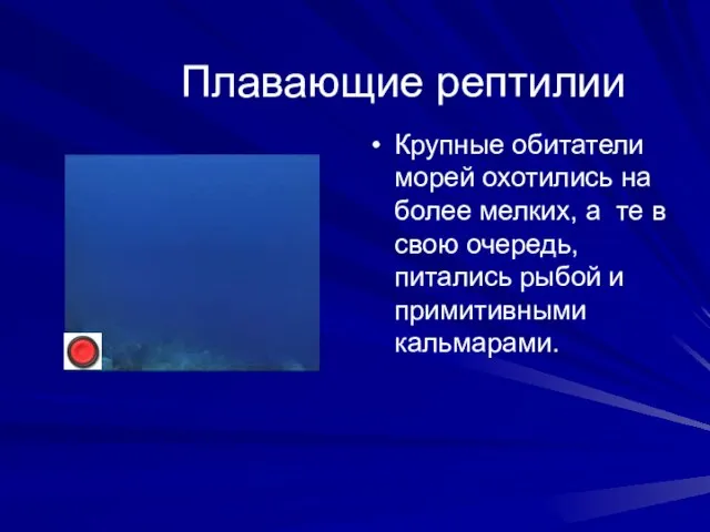 Плавающие рептилии Крупные обитатели морей охотились на более мелких, а те в