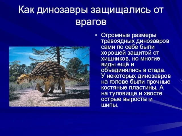 Как динозавры защищались от врагов Огромные размеры травоядных динозавров сами по себе