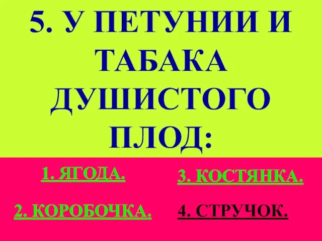 5. У ПЕТУНИИ И ТАБАКА ДУШИСТОГО ПЛОД: 1. ЯГОДА. 2. КОРОБОЧКА. 3. КОСТЯНКА. 4. СТРУЧОК.