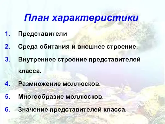 План характеристики Представители Среда обитания и внешнее строение. Внутреннее строение представителей класса.