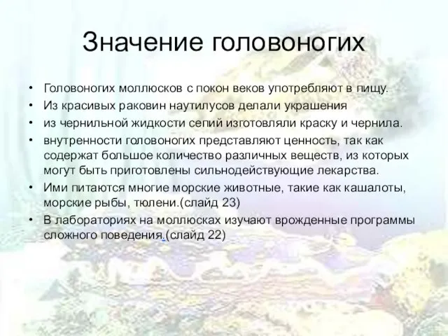 Значение головоногих Головоногих моллюсков с покон веков употребляют в пищу. Из красивых