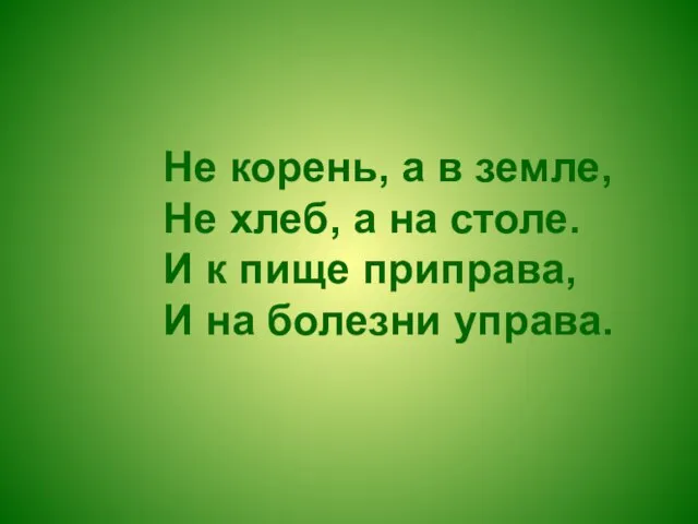 Не корень, а в земле, Не хлеб, а на столе. И к