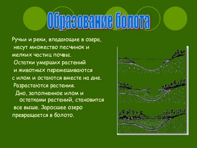 Ручьи и реки, впадающие в озера, несут множество песчинок и мелких частиц