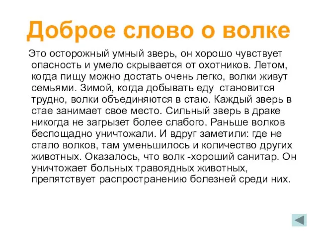 Доброе слово о волке Это осторожный умный зверь, он хорошо чувствует опасность