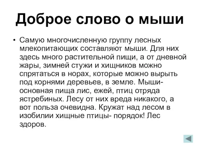 Доброе слово о мыши Самую многочисленную группу лесных млекопитающих составляют мыши. Для