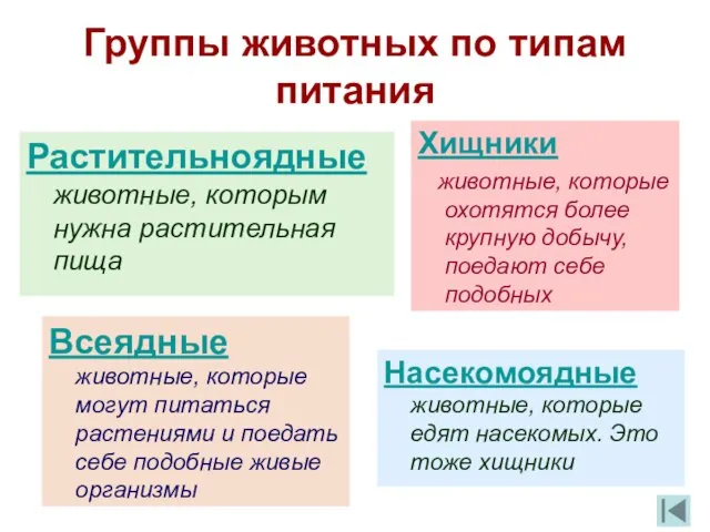 Группы животных по типам питания Растительноядные животные, которым нужна растительная пища Хищники