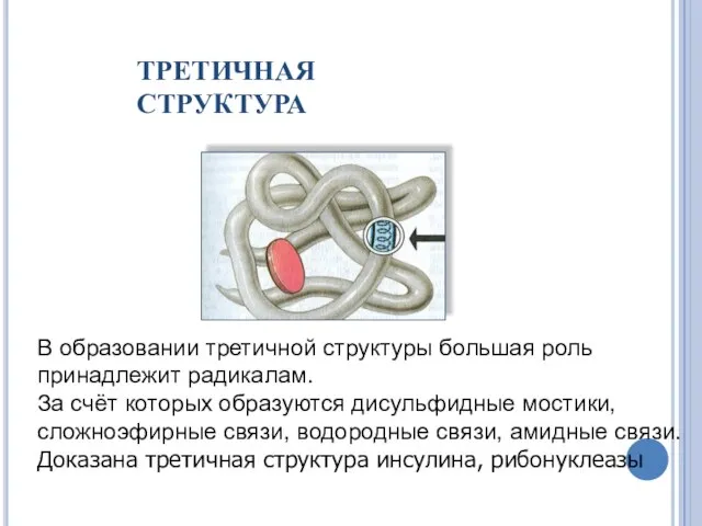 В образовании третичной структуры большая роль принадлежит радикалам. За счёт которых образуются