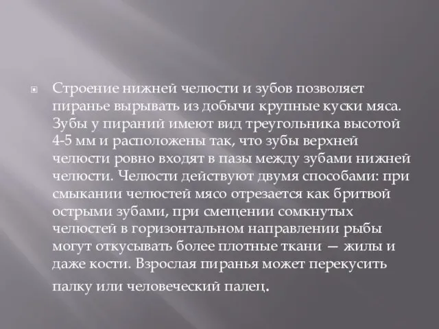 Строение нижней челюсти и зубов позволяет пиранье вырывать из добычи крупные куски