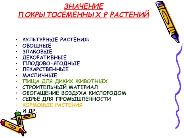 ЗНАЧЕНИЕ ПОКРЫТОСЕМЕННЫХ Р РАСТЕНИЙ КУЛЬТУРНЫЕ РАСТЕНИЯ: ОВОЩНЫЕ ЗЛАКОВЫЕ ДЕКОРАТИВНЫЕ ПЛОДОВО-ЯГОДНЫЕ ЛЕКАРСТВЕННЫЕ МАСЛИЧНЫЕ