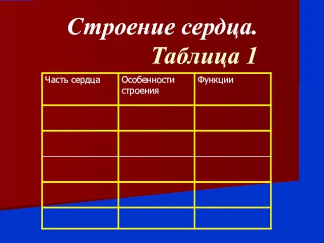 Строение сердца. Таблица 1