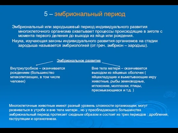 Эмбриональный или зародышевый период индивидуального развития многоклеточного организма охватывает процессы происходящие в