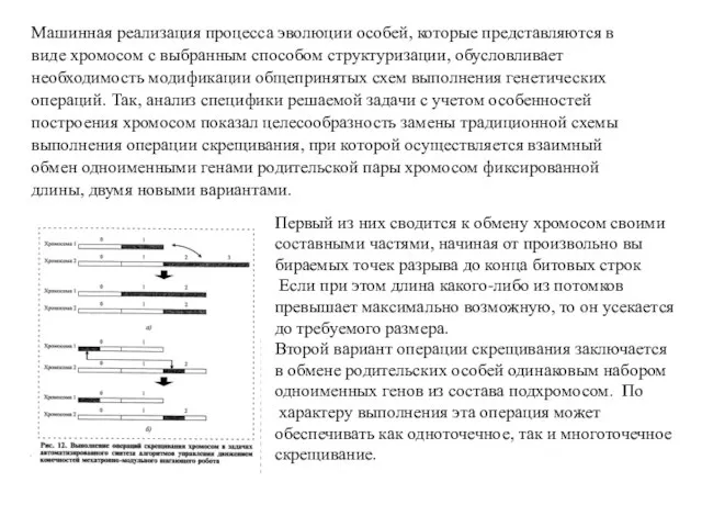 Машинная реализация процесса эволюции особей, которые представляются в виде хромосом с выбранным