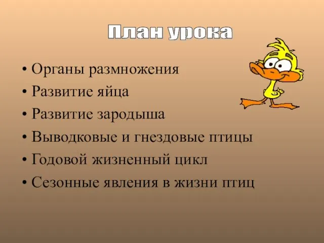 Органы размножения Развитие яйца Развитие зародыша Выводковые и гнездовые птицы Годовой жизненный