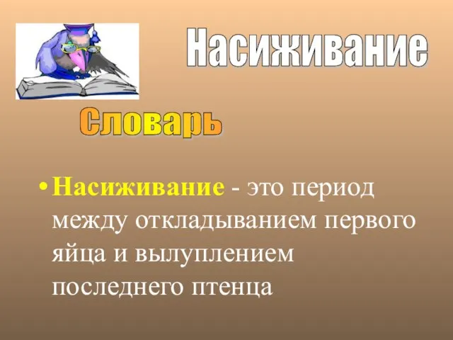 Насиживание - это период между откладыванием первого яйца и вылуплением последнего птенца Насиживание Словарь