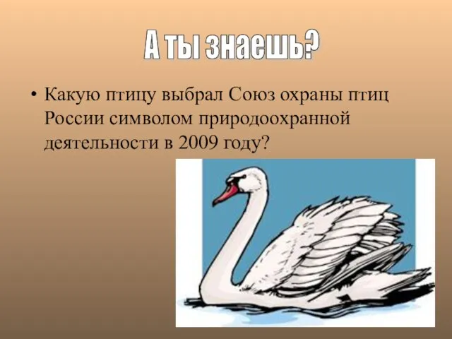Какую птицу выбрал Союз охраны птиц России символом природоохранной деятельности в 2009 году? А ты знаешь?