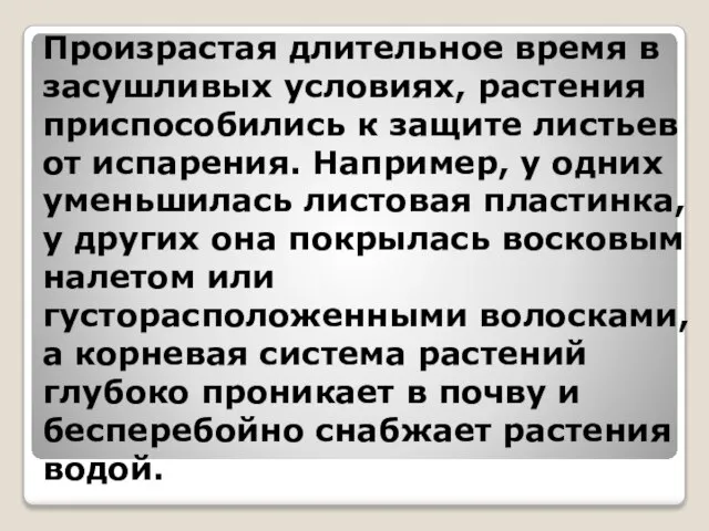 Произрастая длительное время в засушливых условиях, растения приспособились к защите листьев от