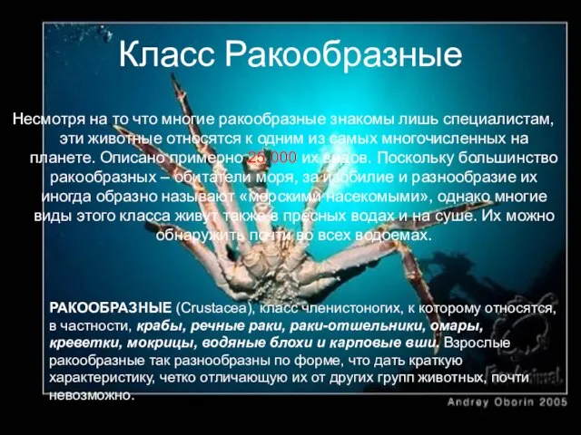 Класс Ракообразные РАКООБРАЗНЫЕ (Crustacea), класс членистоногих, к которому относятся, в частности, крабы,