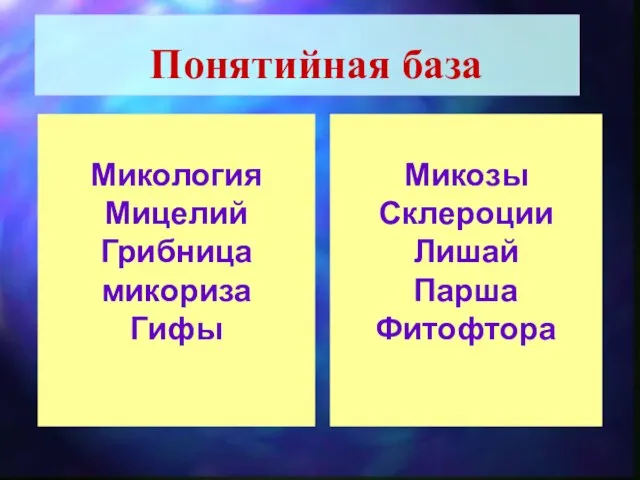 Понятийная база Микология Мицелий Грибница микориза Гифы Микозы Склероции Лишай Парша Фитофтора