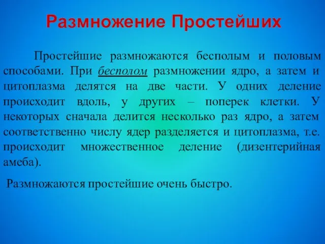 Размножение Простейших Простейшие размножаются бесполым и половым способами. При бесполом размножении ядро,