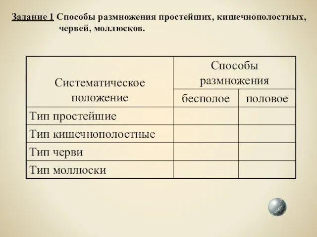 Задание 1 Способы размножения простейших, кишечнополостных, червей, моллюсков.