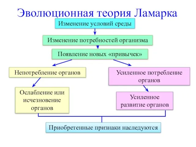 Эволюционная теория Ламарка Изменение условий среды Изменение потребностей организма Появление новых «привычек»