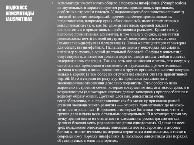 Алисматиды имеют много общего с порядком нимфейных (Nymphaeales) из двудольных и характеризуются