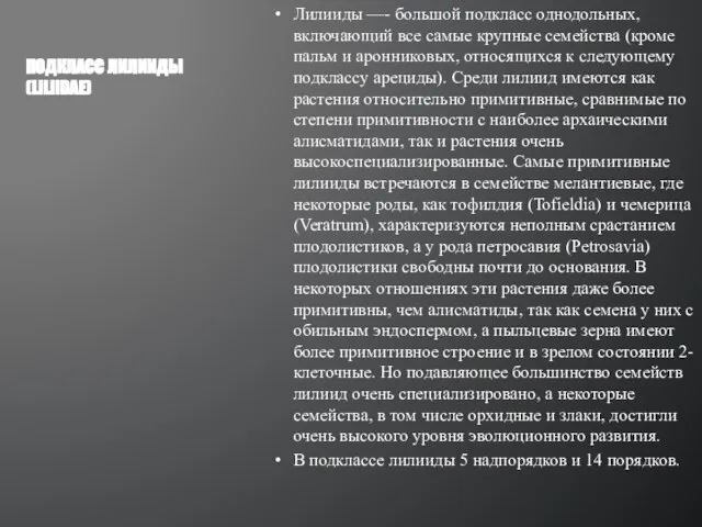 Лилииды —- большой подкласс однодольных, включающий все самые крупные семейства (кроме пальм