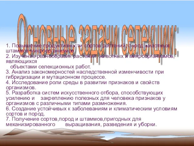 Основные задачи селекции: 1. Повышение продуктивности сортов растений, пород животных, штаммов микроорганизмов.