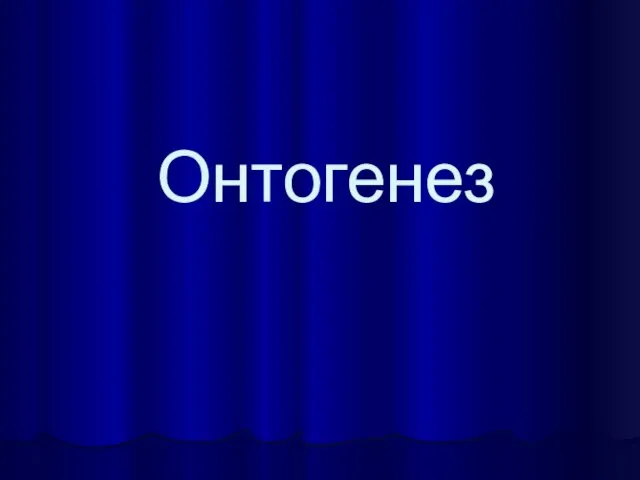 Онтогенез