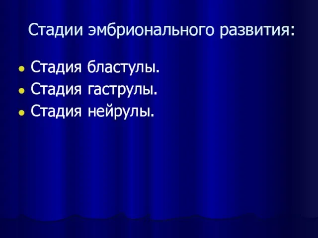 Стадии эмбрионального развития: Стадия бластулы. Стадия гаструлы. Стадия нейрулы.