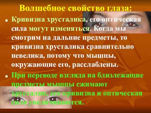 Волшебное свойство глаза: Кривизна хрусталика, его оптическая сила могут изменяться. Когда мы