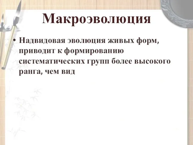 Макроэволюция Надвидовая эволюция живых форм, приводит к формированию систематических групп более высокого ранга, чем вид